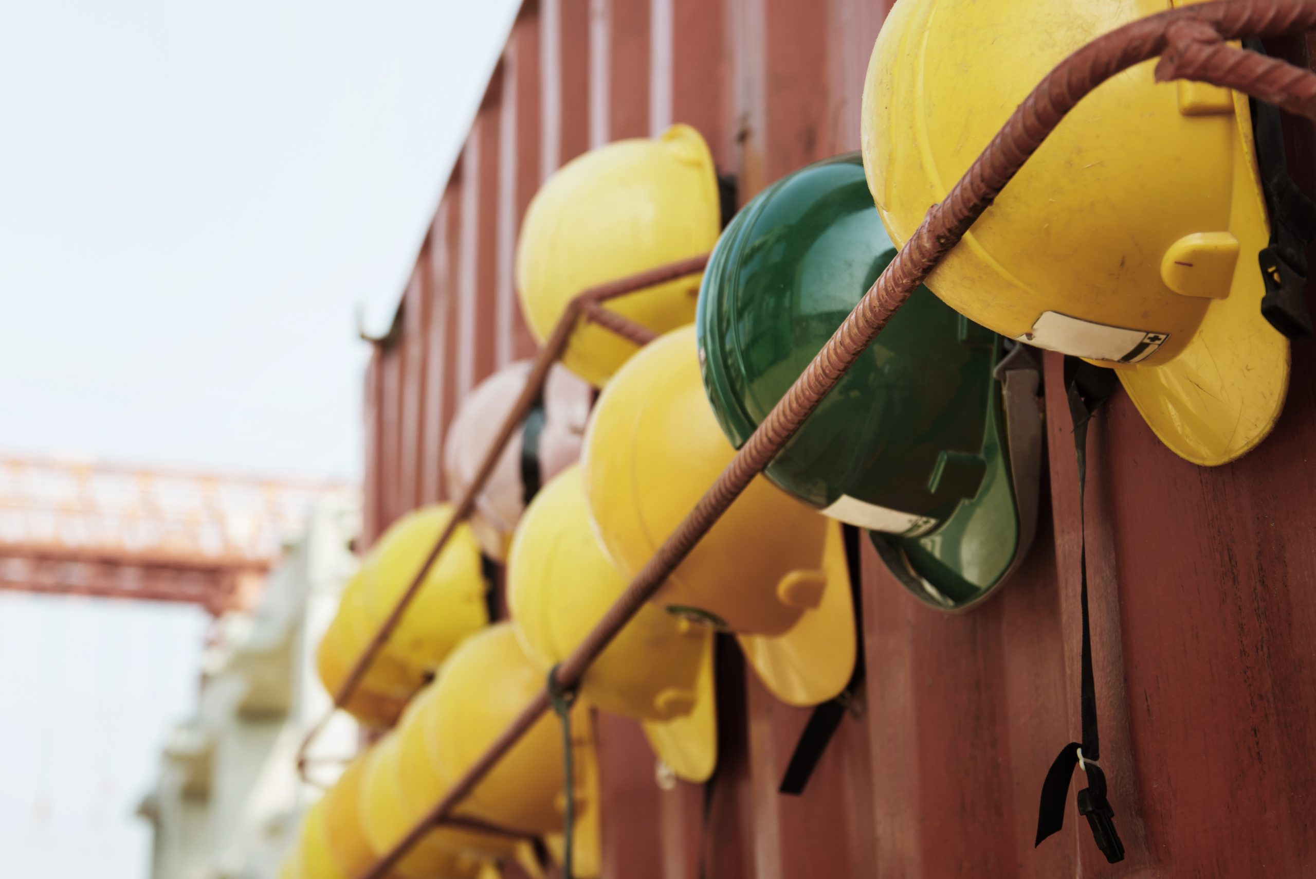 Employee Rights and Protections